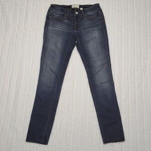 BKE denim Dayton Skinny Jeans Women's Size 25R Dark Wash Frayed Hem Stretch